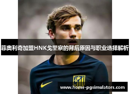 菲奥利奇加盟HNK戈里察的背后原因与职业选择解析