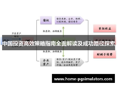中国投资高效策略指南全面解读及成功路径探索