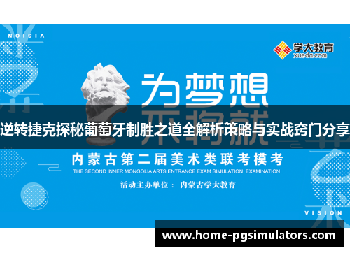 逆转捷克探秘葡萄牙制胜之道全解析策略与实战窍门分享
